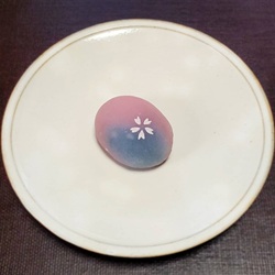 Dégustation de thé et mets japonais